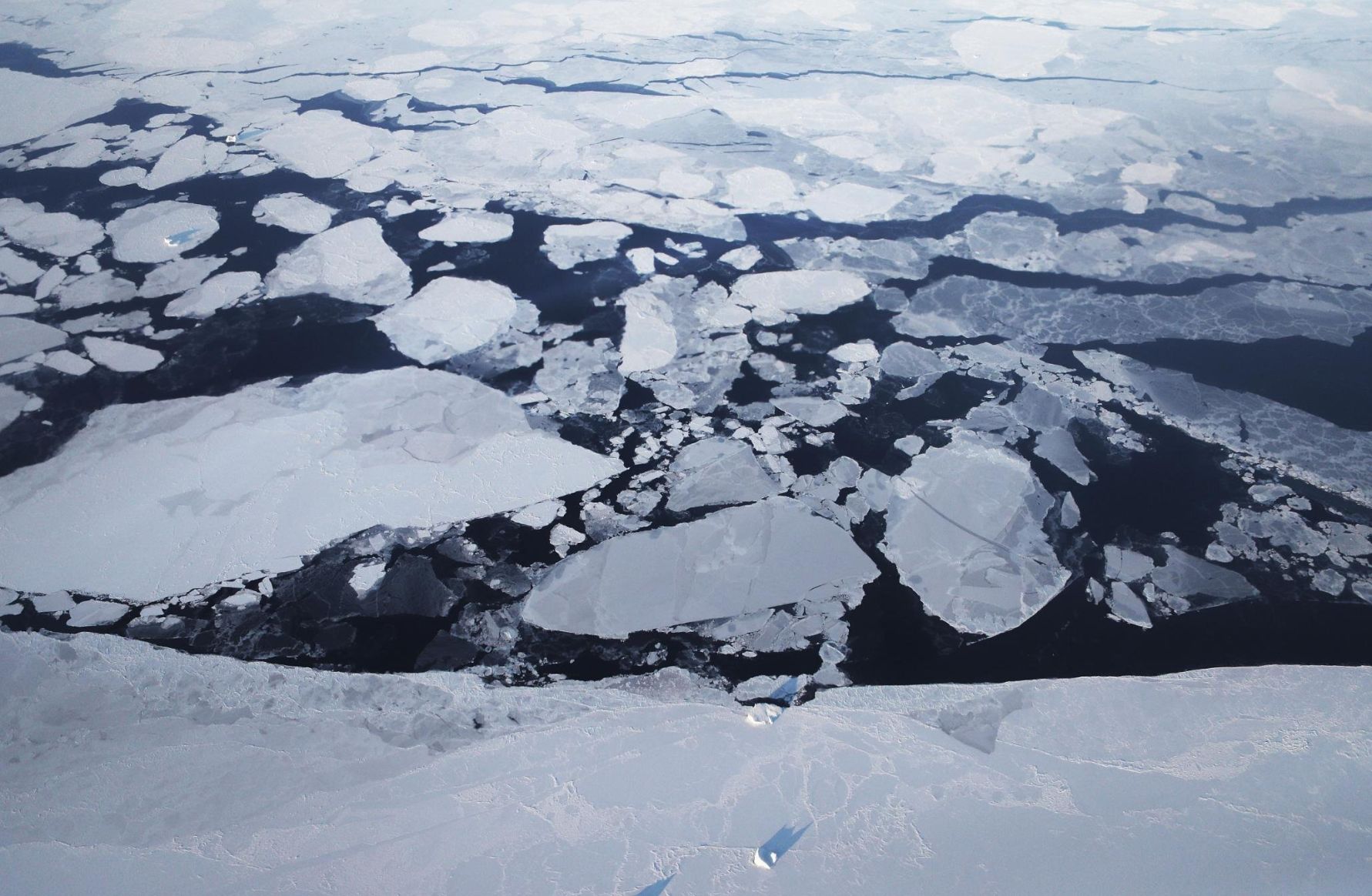 Arctic Sea